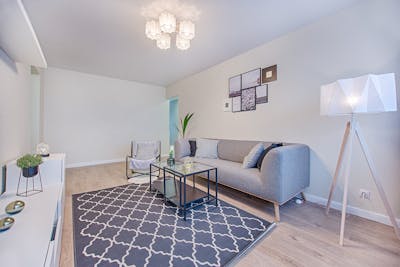 Living room upgrade services